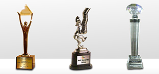 Special Award9